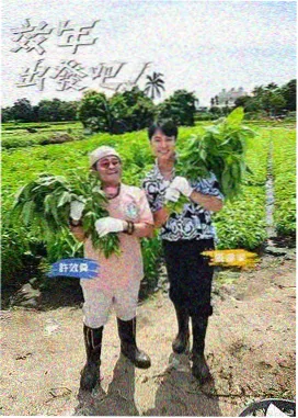 百分百影院伏笔图鉴配图，前后呼应的标记线